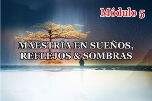 MAESTRIA DEL SUEÑO PROMO 5 PRIMEROS MODULOS