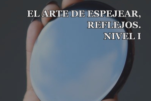 EL ARTE DE ESPEJEAR, REFLEJOS, NIVEL I